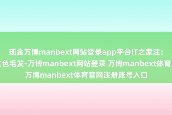 现金万博manbext网站登录app平台IT之家注：月熊特征是全身玄色毛发-万博manbext网站登录 万博manbext体育官网注册账号入口