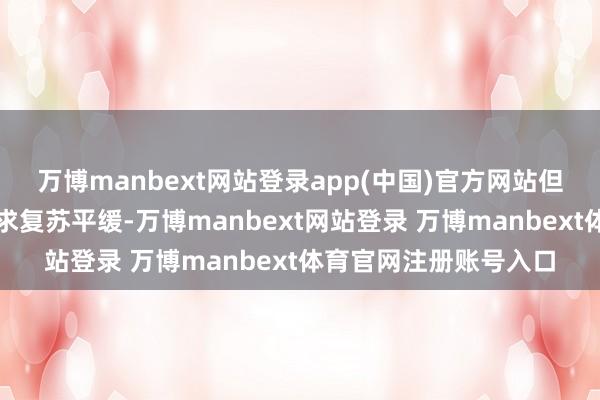 万博manbext网站登录app(中国)官方网站但由于所属行业有用需求复苏平缓-万博manbext网站登录 万博manbext体育官网注册账号入口