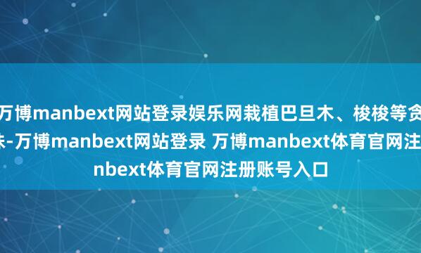 万博manbext网站登录娱乐网栽植巴旦木、梭梭等贪图2.99万株-万博manbext网站登录 万博manbext体育官网注册账号入口