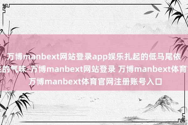 万博manbext网站登录app娱乐扎起的低马尾依然懒散眷恋东谈主的气味-万博manbext网站登录 万博manbext体育官网注册账号入口