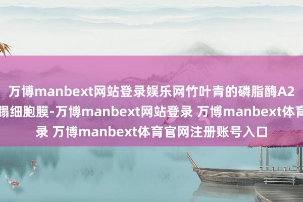 万博manbext网站登录娱乐网竹叶青的磷脂酶A2会像拆解积木般蹧蹋细胞膜-万博manbext网站登录 万博manbext体育官网注册账号入口