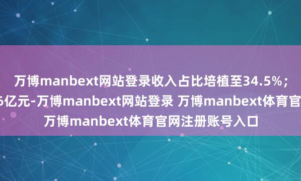 万博manbext网站登录收入占比培植至34.5%；归母净利润0.16亿元-万博manbext网站登录 万博manbext体育官网注册账号入口