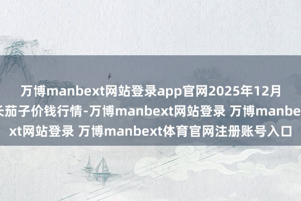 万博manbext网站登录app官网2025年12月25日宇宙主要批发市集长茄子价钱行情-万博manbext网站登录 万博manbext体育官网注册账号入口